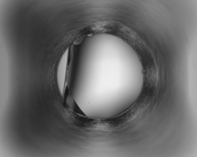 X0000096220601200801181452