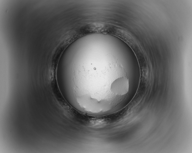 X0000096220602200801181452