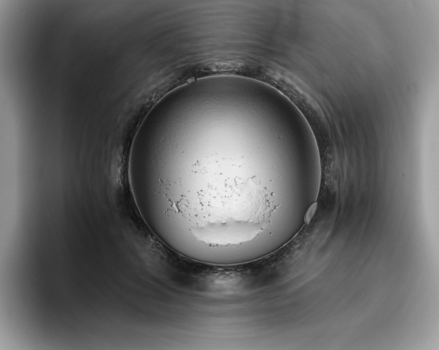 X0000096220604200801181452