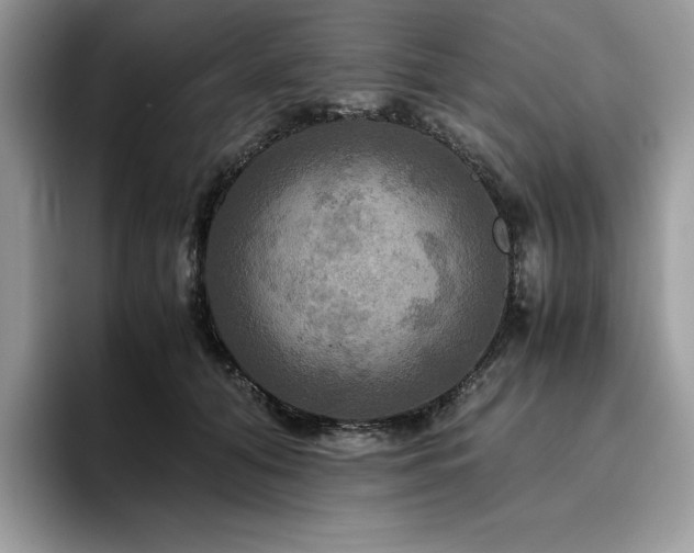 X0000096220608200801181452