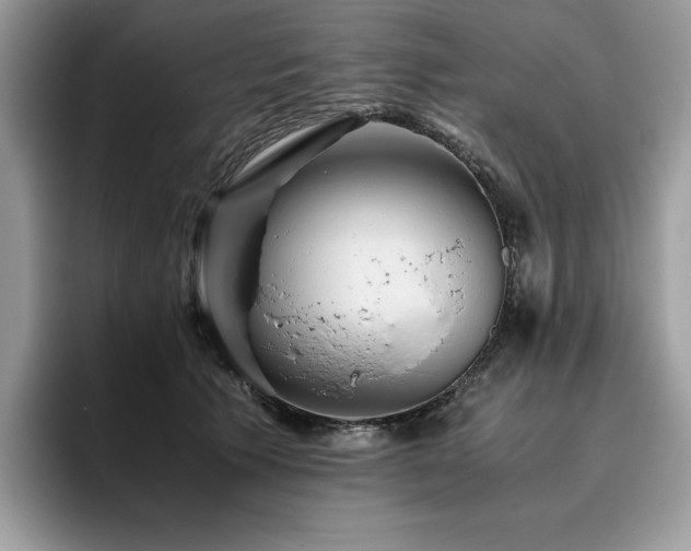 X0000096220609200801181452