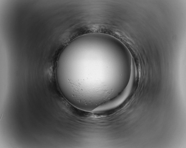X0000096220611200801181452