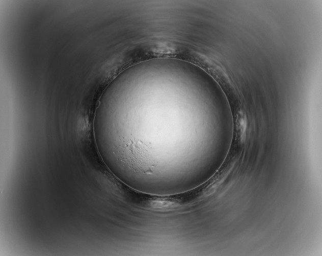 X0000096220614200801181452