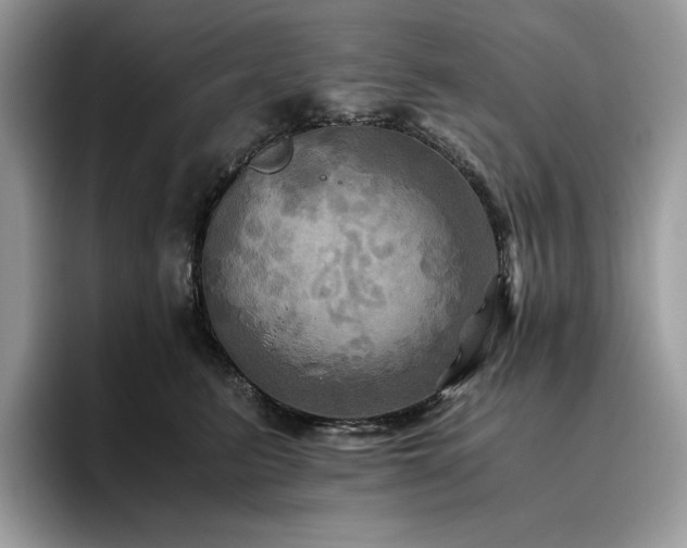 X0000096220615200801181452
