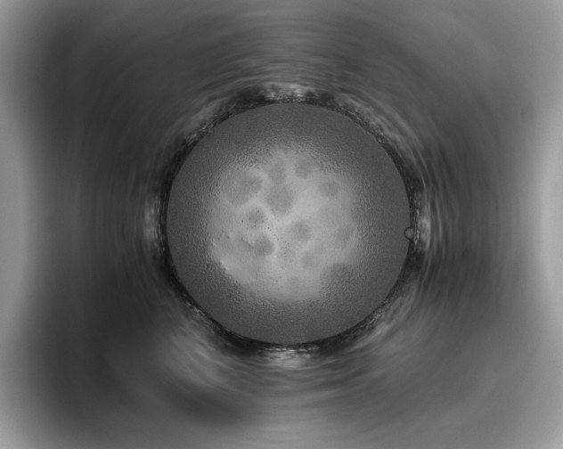 X0000096220616200801181452