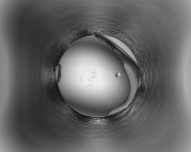 X0000096220617200801181452