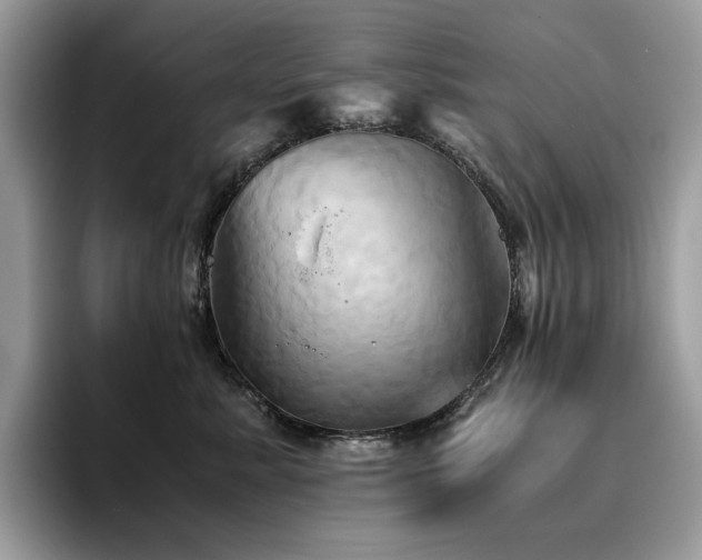 X0000096220619200801181452
