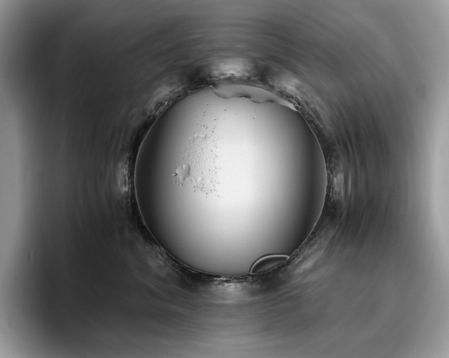 X0000096220620200801181452