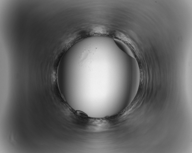 X0000096220621200801181452