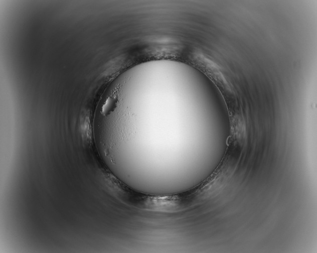 X0000096220622200801181452
