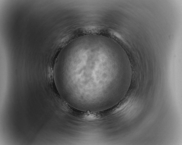 X0000096220624200801181452