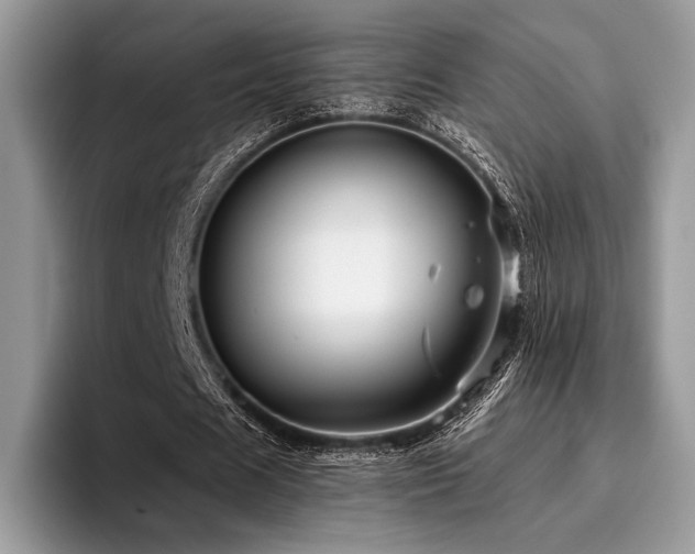 X0000096220625200801181451