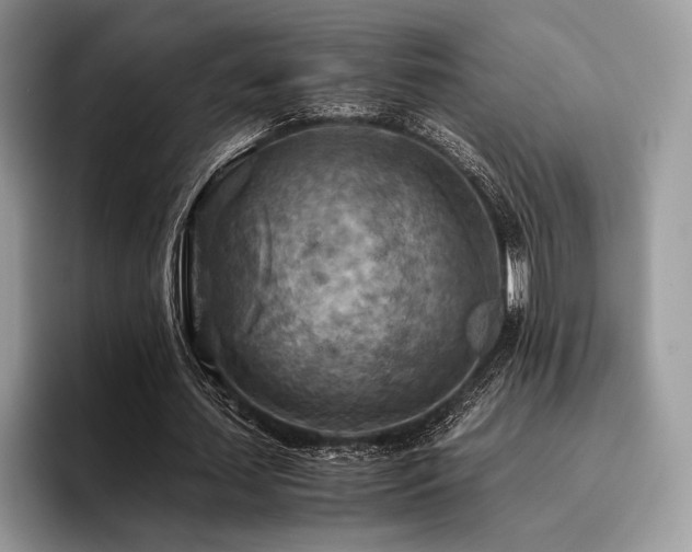 X0000096220627200801181451