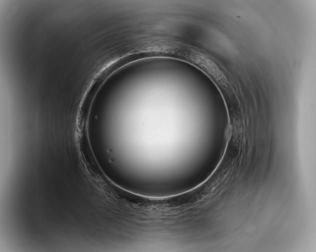 X0000096220628200801181451