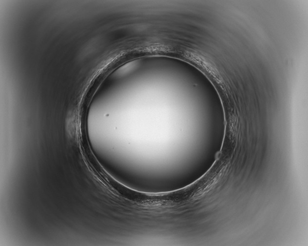 X0000096220629200801181451