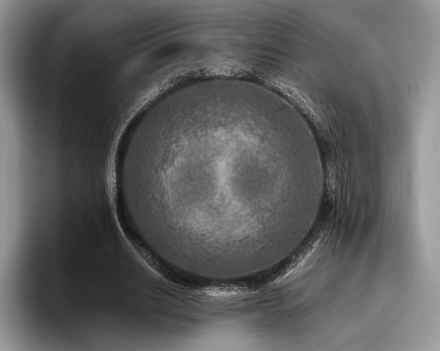 X0000096220630200801181451