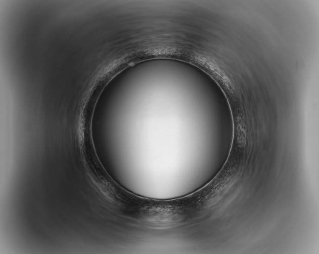 X0000096220631200801181451