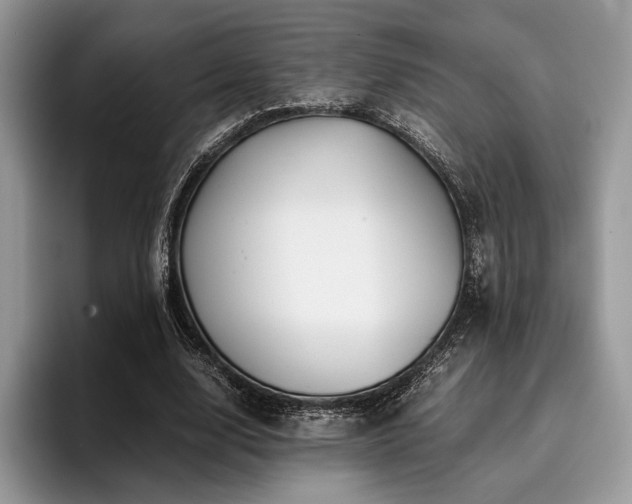 X0000096220632200801181451