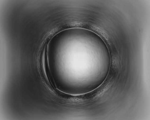 X0000096220633200801181451
