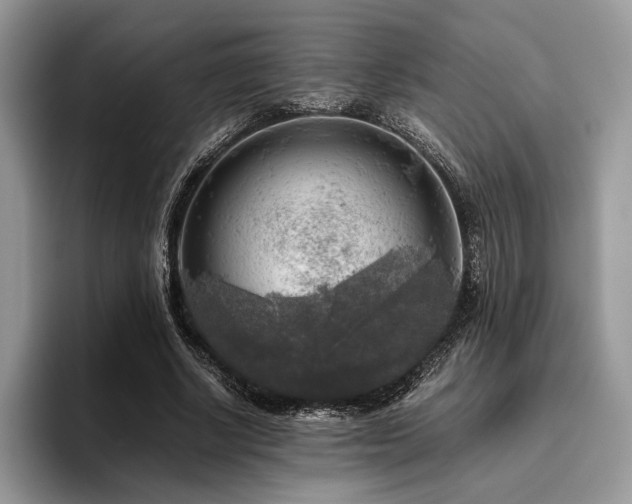 X0000096220634200801181451