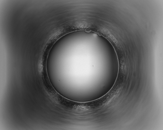 X0000096220635200801181451
