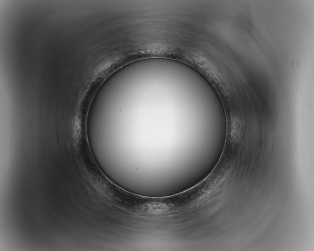 X0000096220636200801181451