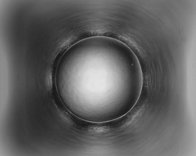 X0000096220638200801181451