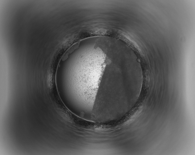 X0000096220641200801181451
