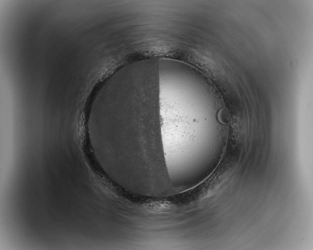 X0000096220642200801181451