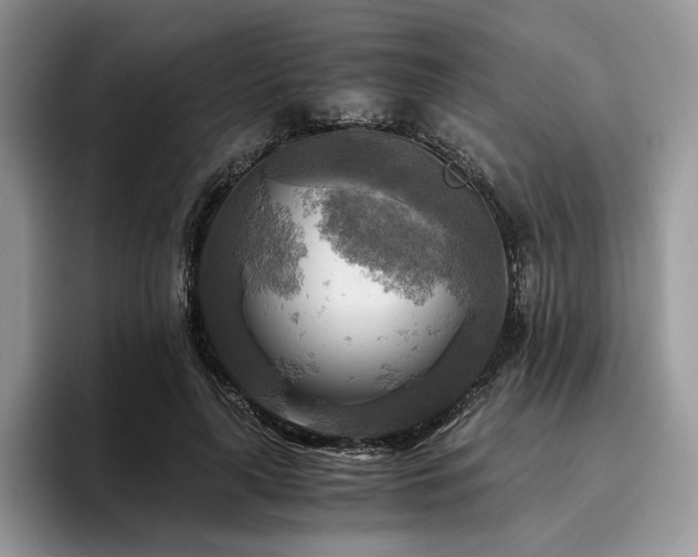 X0000096220643200801181451