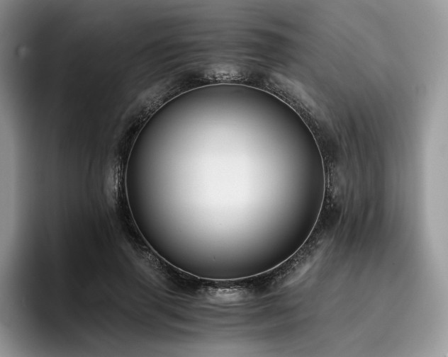 X0000096220645200801181451