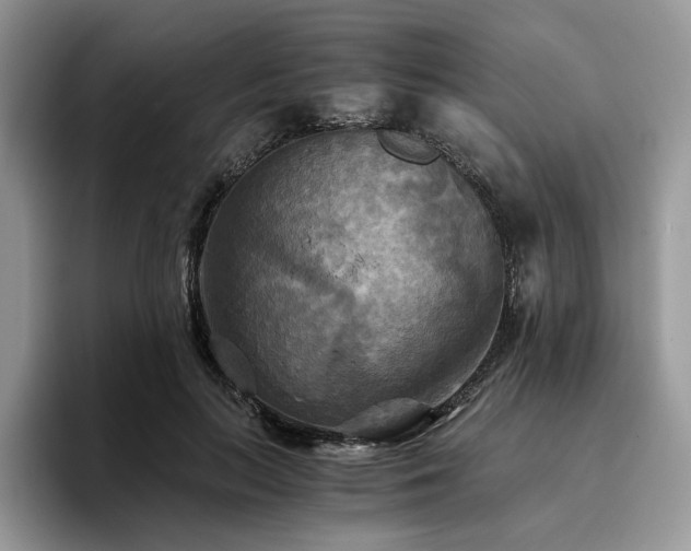 X0000096220647200801181451