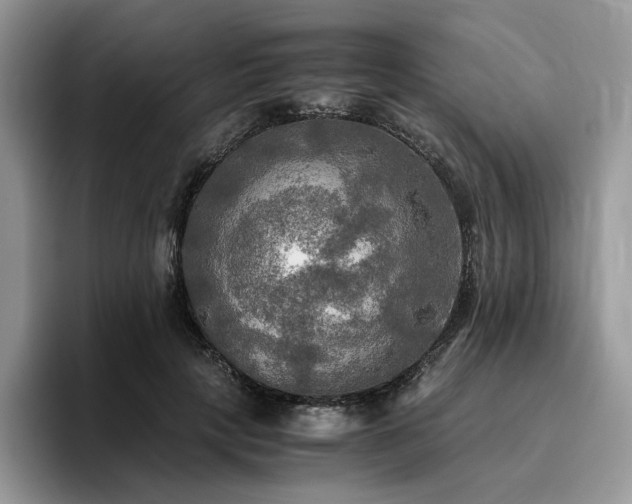 X0000096220649200801181451