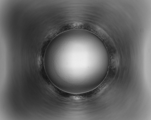 X0000096220654200801181451