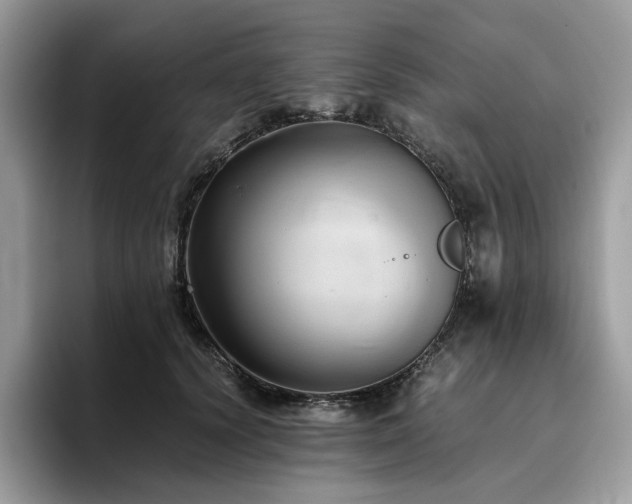 X0000096220656200801181451