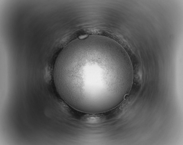 X0000096220658200801181451