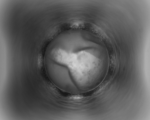 X0000096220659200801181451