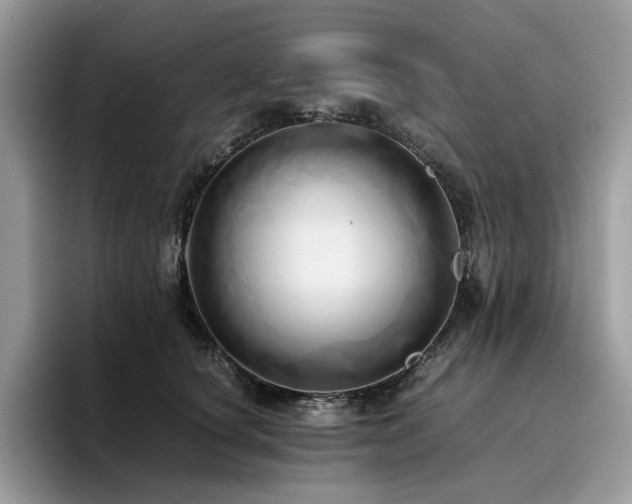 X0000096220660200801181451