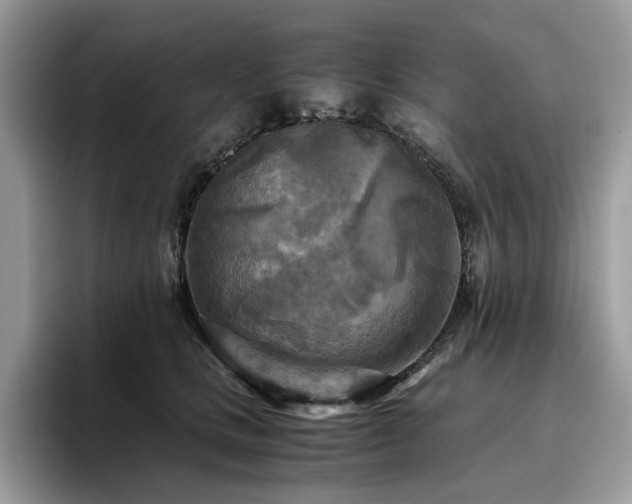 X0000096220661200801181451