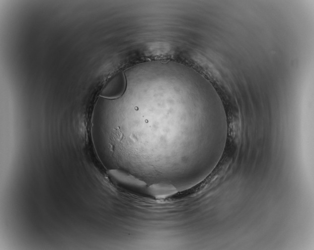 X0000096220662200801181452
