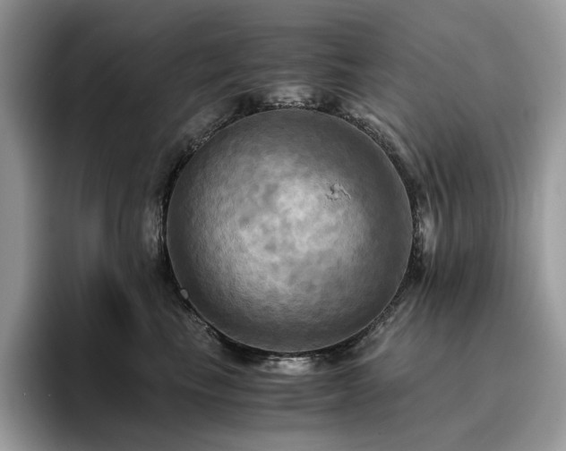 X0000096220665200801181452