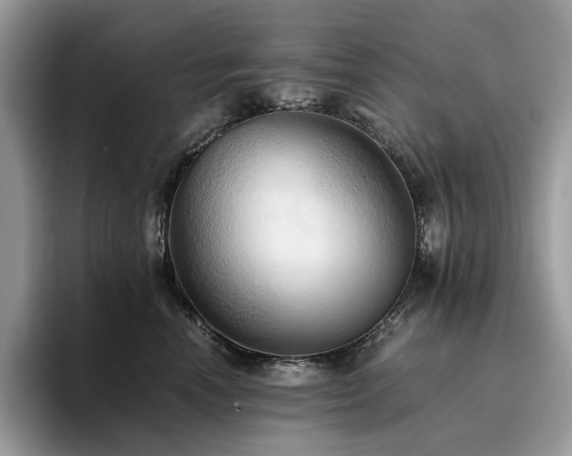 X0000096220666200801181452