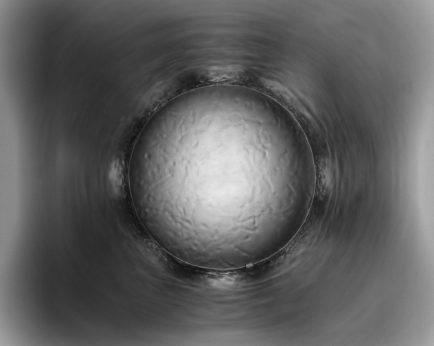X0000096220667200801181452