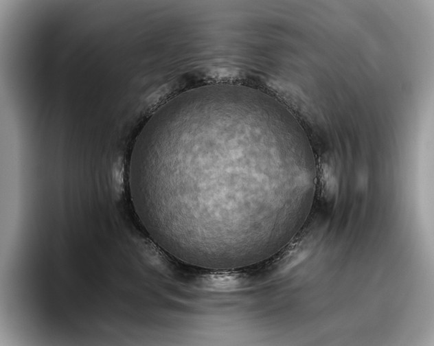 X0000096220668200801181452