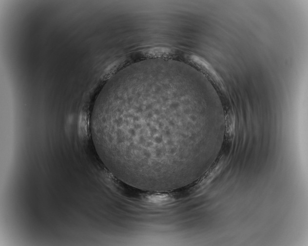 X0000096220669200801181452