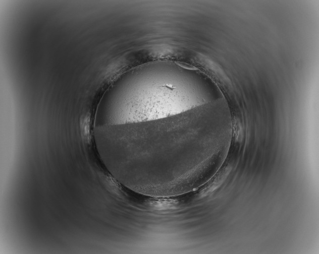 X0000096220670200801181452
