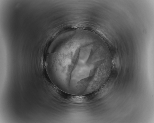 X0000096220671200801181452