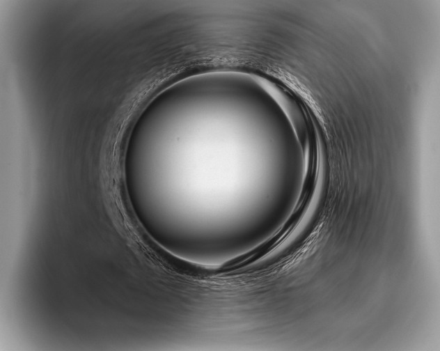 X0000096220673200801181451