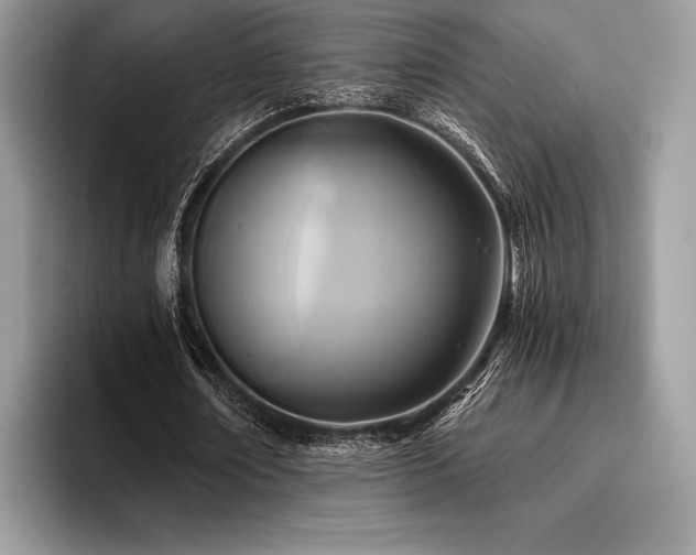 X0000096220674200801181451
