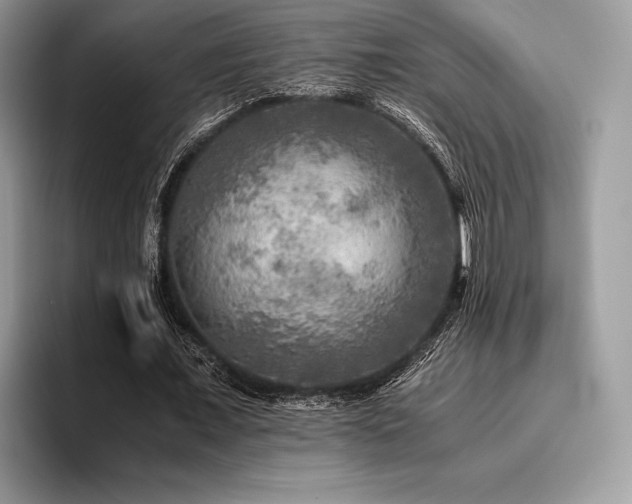 X0000096220675200801181451